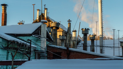 Close-up of the shop and the pipe of the bread factory. They are heated birds. Cold winter Sunny day.