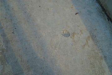 texture of wall