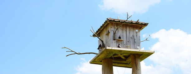 Taubenschlag - Taubenhaus