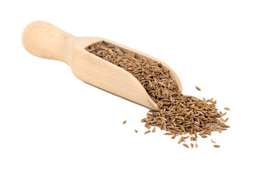 Dry cumin in a scoop