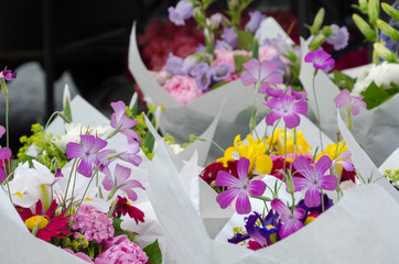 Flower season at Redmond farmer market