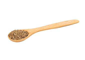 Dry cumin in spoon