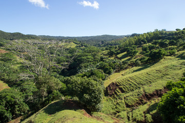Fototapeta na wymiar Mauritius Landschaft