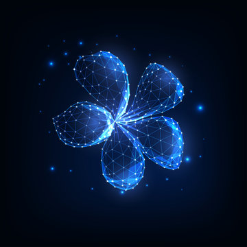 Beautiful magical glowing low polygonal plumeria flower surrounded by stars isolated on dark blue.