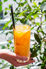 summer lemonade with fresh fruits