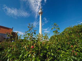 Fernsehturm (TV Tower) in Berlin