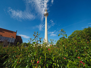 Fernsehturm (TV Tower) in Berlin