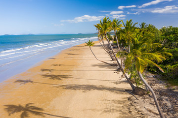 Aerial top view of beach with white sand, beautiful palm trees and warm turquoise tropical water