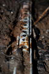 Decay