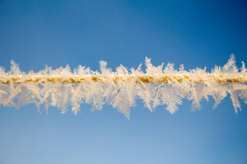Hoarfrost against the sky. Frosty patterns