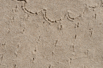 cloud and rain - drawing on sand