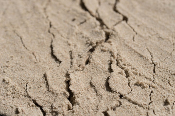 cracked sand background texture