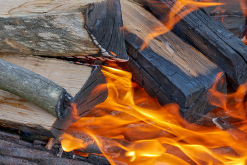 firewood burns in the grill