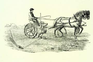 Antique scythe. Antique illustration. 1890. © Emilio Ereza