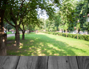 blurred nature park forest background with table