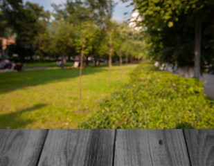 blurred nature park forest background with table