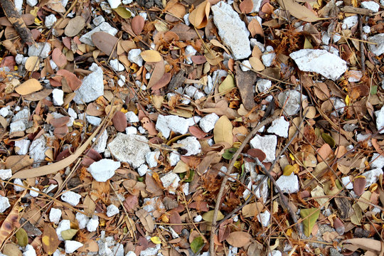 Closeup stone floor with dried leaves texture
