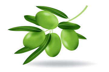 3d realistic of olive fruit on isolated white background