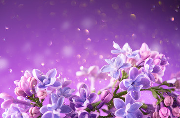 Fototapeta na wymiar Lilac flowers bunch violet art design background. Beautiful violet Lilac flowers closeup. Watercolor nature floral backdrop