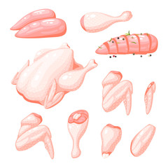 Raw uncooked fresh chicken pieces. Vector illustration cartoon flat icon isolated on white.