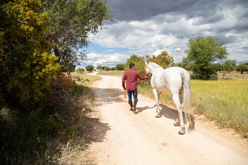 Unrecognizable guy in casual outfit holding leash and walking with white horse in paddock on cloudy...