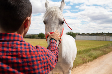 Back view of young male putting hand on forehead of white horse against cloudy sky in field
