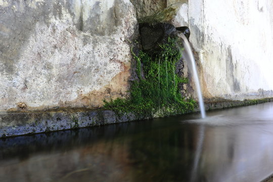Natural spring in the Krasi, Crete
