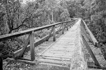 Noojee Bridge in Victoria, Australia