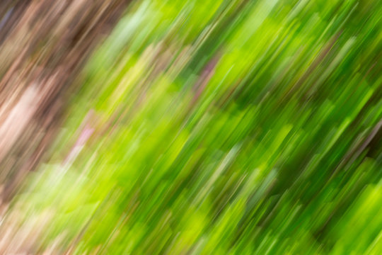 Abstract background image of green leaves and flowers with  motion blur effect