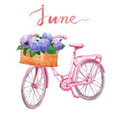 Fototapeta na wymiar Watercolor pink vintage bicycle illustration. Hand drawn beach cruiser with basket and flowers, isolated on white background. Summer bike ride.