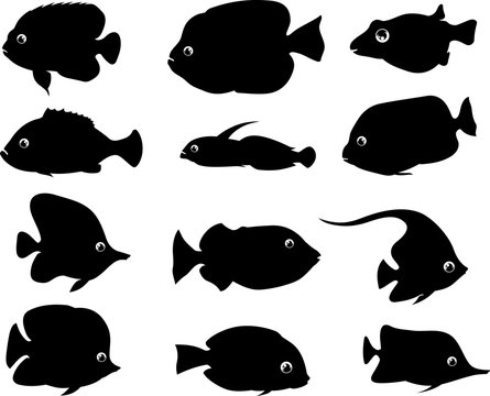 Fish Silhouette Set