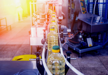 Bottling line of sunflower oil in bottles. Vegetable oil production plant. High technology.