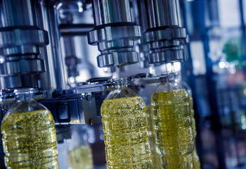 Bottling line of sunflower oil in bottles. Vegetable oil production plant. High technology.