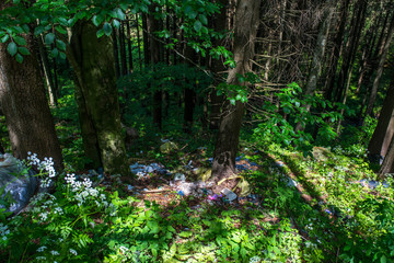 Fototapeta premium Human trash in the forest near roadside, conceptual human negligence image.