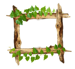 Frame with old pieces of wood and ivy twigs