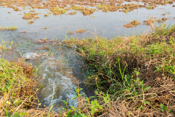 underground water flow in to plantation