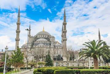 Fototapeta na wymiar The Blue Mosque, Sultanahmet Camii, Istanbul, Turkey. 