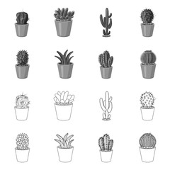 Vector illustration of cactus and pot sign. Set of cactus and cacti vector icon for stock.