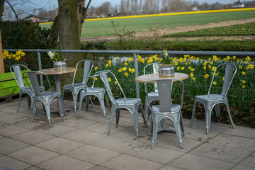 Flower garden, Netherlands , an empty park bench next to a fence