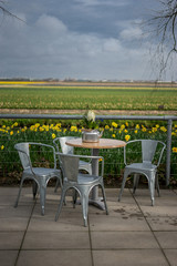 Flower garden, Netherlands , a vase of flowers sitting on a bench