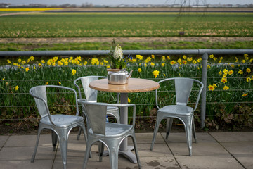 Flower garden, Netherlands , a vase of flowers sitting on a bench in a park