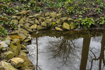 Flower garden, Netherlands , a close up of a pond