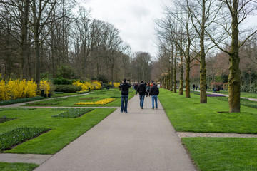 Flower garden, Netherlands , a man walking on a path in a park