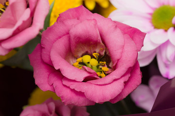 Bouquet of beautiful garden flowers