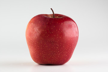 ripe beautiful apple