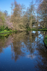 Flower garden, Netherlands , a body of water surrounded by trees