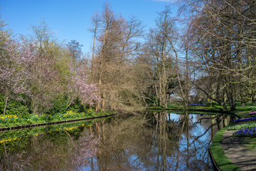 Fototapeta na wymiar Flower garden, Netherlands , a body of water surrounded by trees