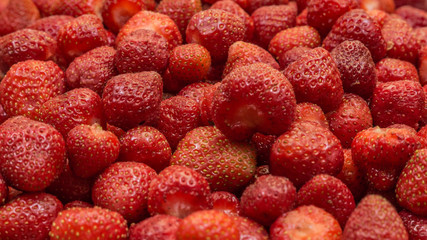 just fresh red strawberries without green leaves