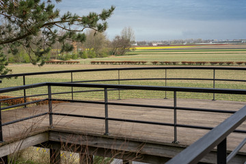 Fototapeta na wymiar Flower garden, Netherlands , a wooden bench on a farm