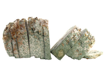 mouldy bread isolated